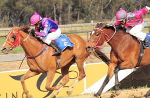 Tomorrow's Miss gets the better of Mystic Express (JC Photos)