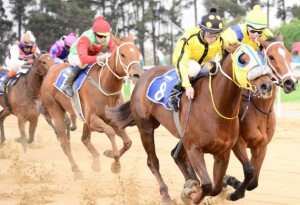 Chase Maujean keeps Winter Darling at it to beat Tiger Quest (JC Photos)