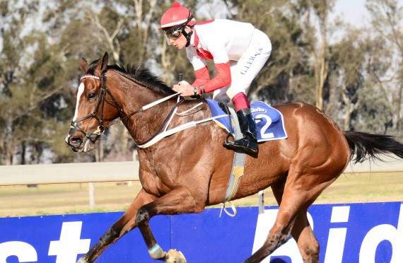 Super impressive Emerald Cup trial by Steve Kenny's Shadow Line (JC Photos)