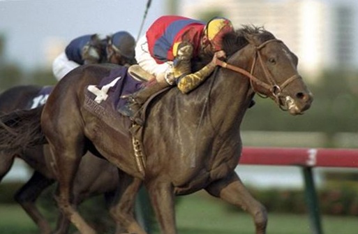 1992 Breeders Cup winner, A.P. Indy