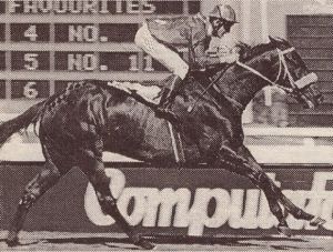 Western Rocket wins 1994 Gr2 Computaform Stakes