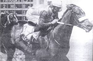 Flobayou wins the 1994 Merchant Stakes