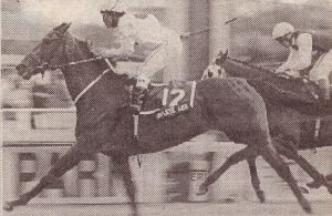 1994 November Consolation Handicap 