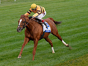 Wise Dan wins the 2014 Shadwell Turf Mile