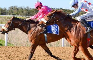 Titus gets the better of Wooden Star (Coastal Media)