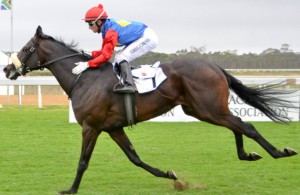 Glen Kotzen's Light The Lights - may prefer the 2000m