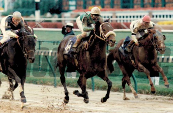 Breeders Cup winner Gulch