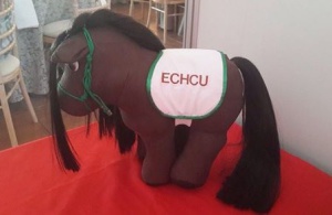 ECHCU