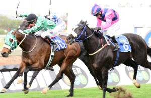 Form Up wins Pinnacle stakes Turff Oct_compressed