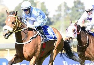 One Fine Day wins and could be headed for Cape Town (JC Photos)