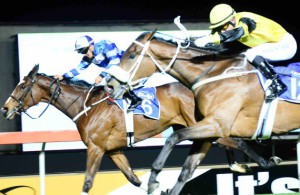 Pine Princess storms through the centre to win a cracker - that is third placed Mohave Princess on the rail (JC Photos)