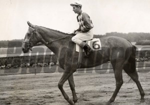 Native Dancer - an outstanding racehorse