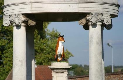 Tattersalls fox