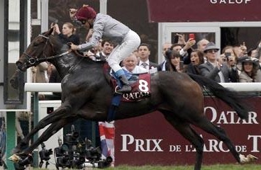 Treve wins 2014 Prix de l'Arc de Triomphe