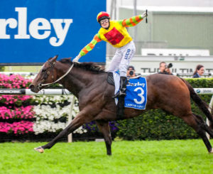 King of Speed - Redoutes's Choice Horse Of The Year - Lankan Rupee