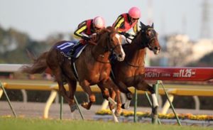Gnetildonna beats Ofevre in the Japan Cup of 2013