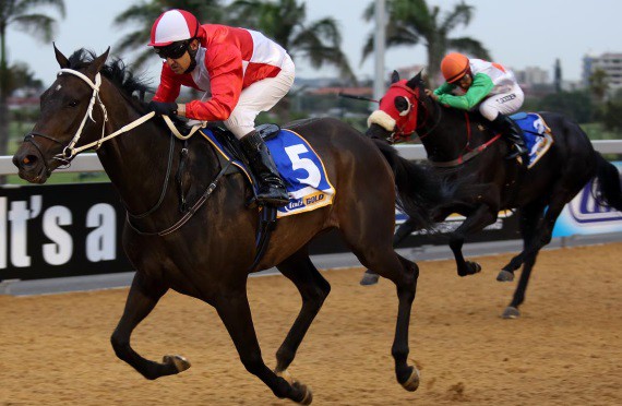 Blizzard Belle wins in KZN in the Lammerskraal silks