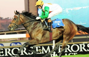 KZN Champion Harry's Son - not disgraced