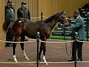 2014 Keeneland Breeding Sale Lot 402 (Tapit - Serena's Cat)