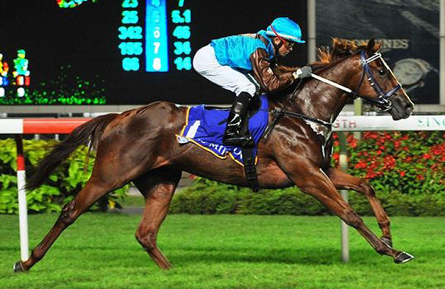 Kiwi Karma (Manoel Nunes) pulls away to an easy win on Friday night.