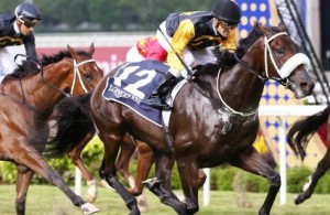 Quechua storms home for Patrick Shaw