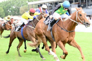 Rich Girl wins the RTR Cup_compressed