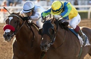 Rich Tapestry (yellow) wins his prep race