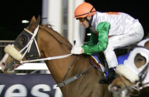 Man and his horse - Sean Cormack and Royal Colours seen winning his penultimate outing