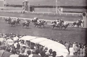 Kendal Green wins the 1974 Cape Fillies Guineas