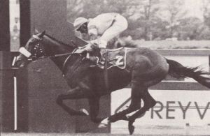 1994 Gr3 Natalia Christmas Handicap