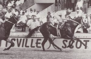 1994 KZN Stakes