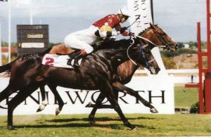 1998 Gr1 Cape Guineas