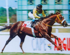 1999 Gr1 Cape Argus Guineas