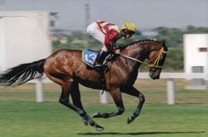 2001 Queen's Plate with Trademark