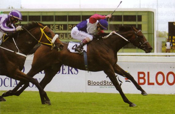 2007 Gr1 Bloodstock SA Cape Guineas