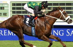 2011 Gr1 CTS Cape Guineas