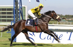 2012 Gr1 CTS Cape Guineas