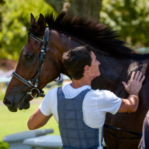 Bernard Fayd'herbe and Pocket Power