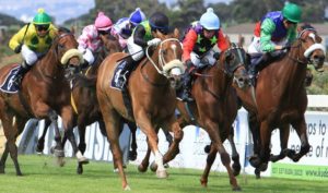 Coltrane wins Cape Summer Stayers