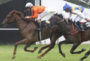 FLINTSTONE(4) G Lerena