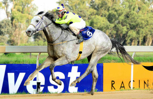 The fit Kiss Me Hardy was a runaway winner at the venue last month