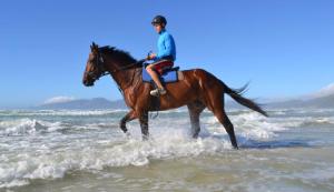 Richard Fourie and Legislate on the beach