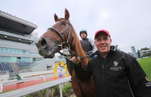 Red Cadeaux - on the move again