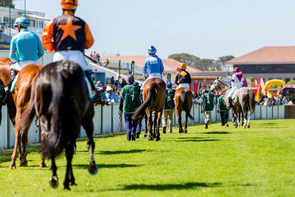 horses on parad