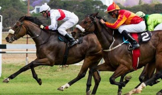 001 Eversolucky (Quinton Riddle) beating Mica Point (Randall Simons) MR 52 Handicap on October 5, 2014. (eversolucky yellow colours)