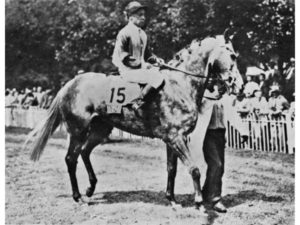 1955 Summer Cup winner Casbah