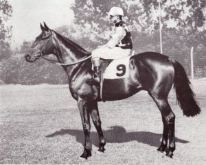 1965 Metropolitan winner, Speciality