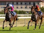 2015 J&B Met Gallops - Helderberg Blue & Paterfamilias