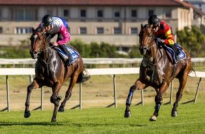 2015 J&B Met Gallops - Helderberg Blue & Paterfamilias