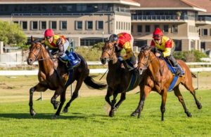 2015 J&B Met Gallops - Tellina, Louis The King, Killua Castle